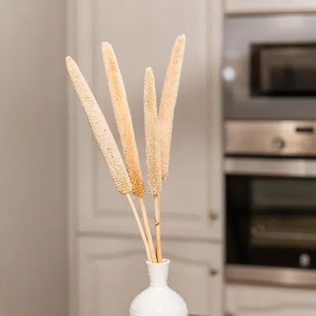 Victoria Project - - Private Parking بورتو